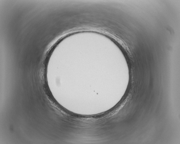 X0000115561502200912041042