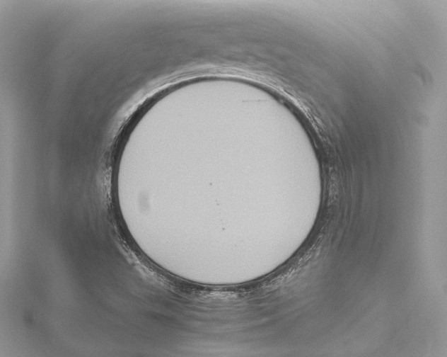 X0000115561503200912041042