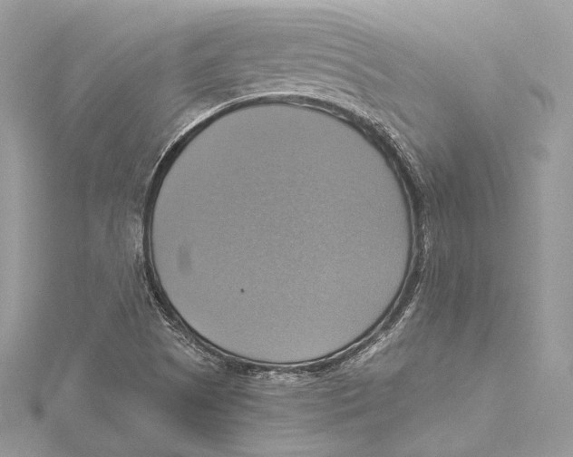 X0000115561505200912041042