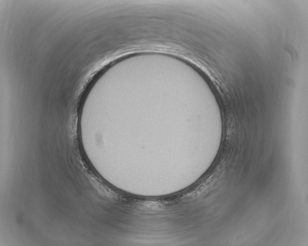 X0000115561507200912041042