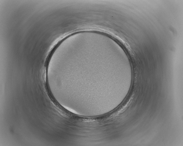 X0000115561509200912041042