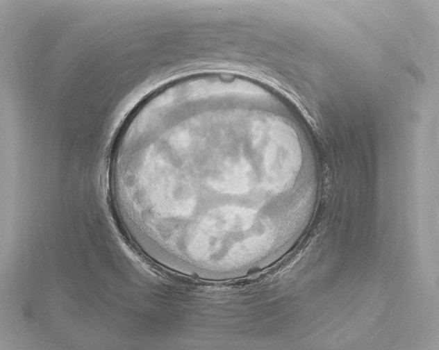 X0000115561511200912041042