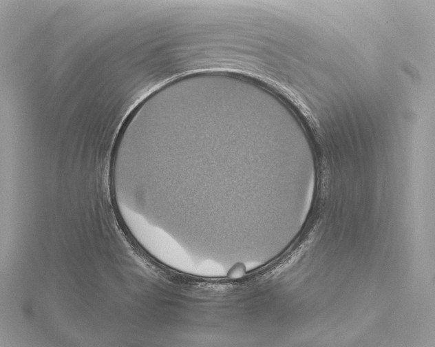 X0000115561513200912041042