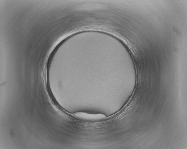 X0000115561515200912041042