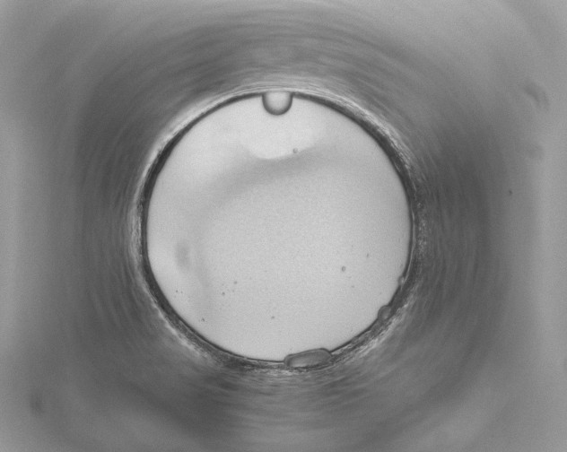 X0000115561517200912041042