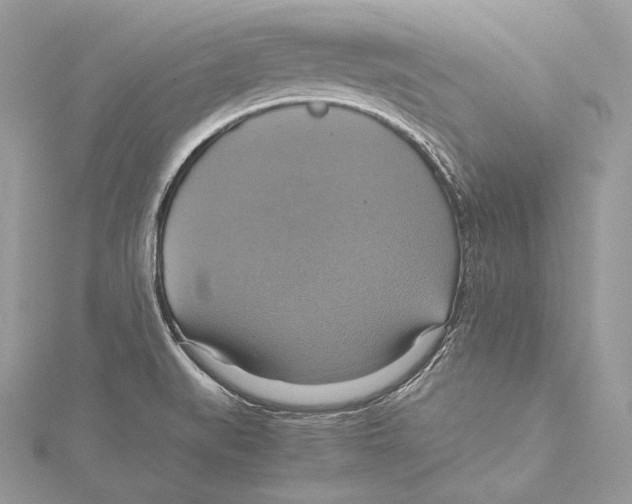 X0000115561519200912041042