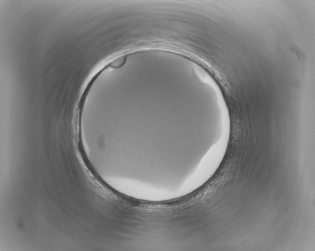 X0000115561522200912041042