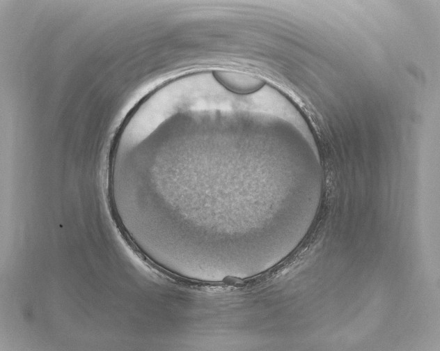 X0000115561523200912041042