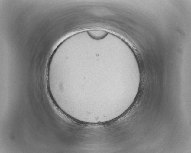 X0000115561526200912041042