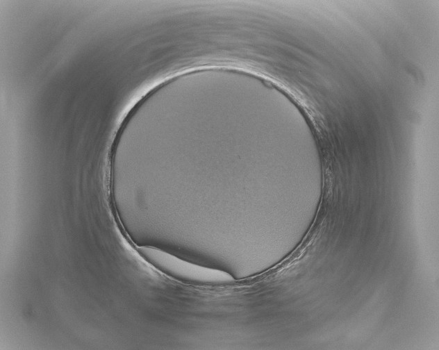 X0000115561527200912041042