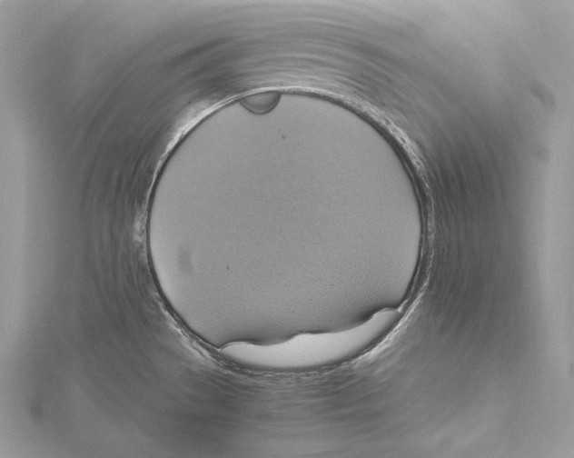 X0000115561529200912041042