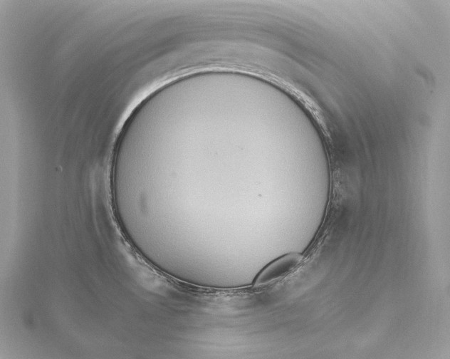 X0000115561530200912041042