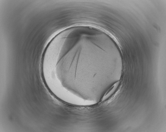 X0000115561533200912041042