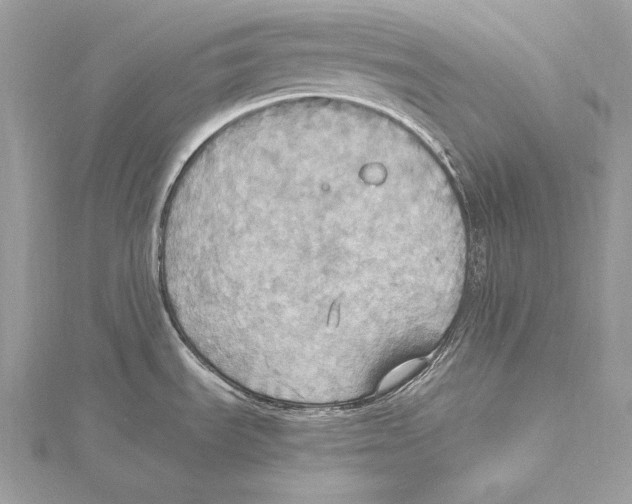 X0000115561535200912041042