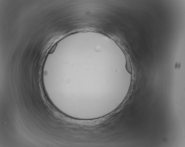 X0000115560001200912181628