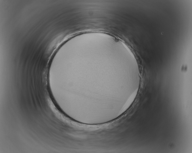 X0000115560002200912181628