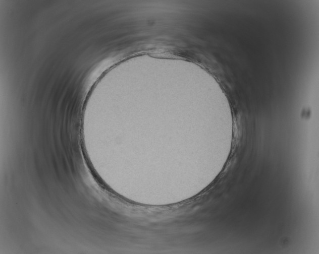 X0000115560003200912181628