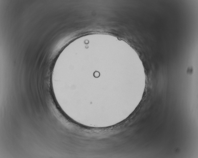 X0000115560005200912181628