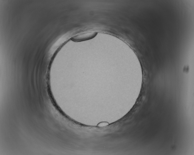 X0000115560007200912181628