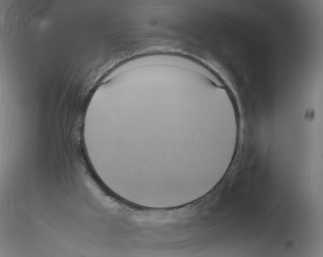 X0000115560009200912181628