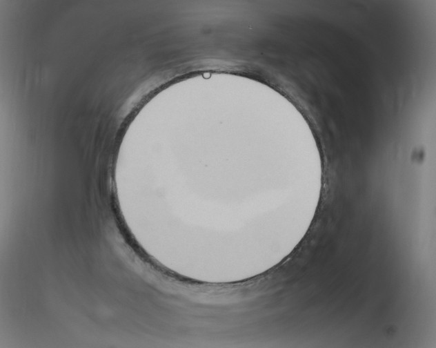 X0000115560011200912181628