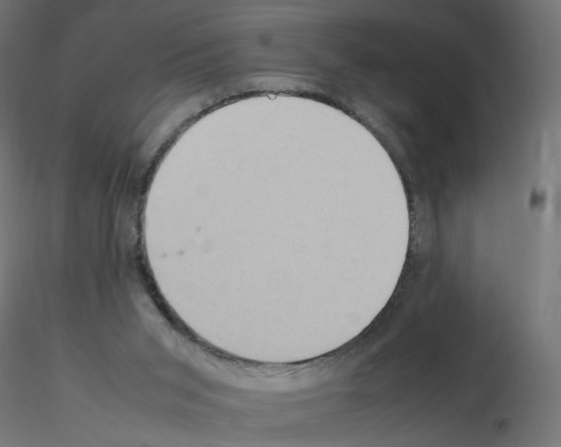 X0000115560015200912181628