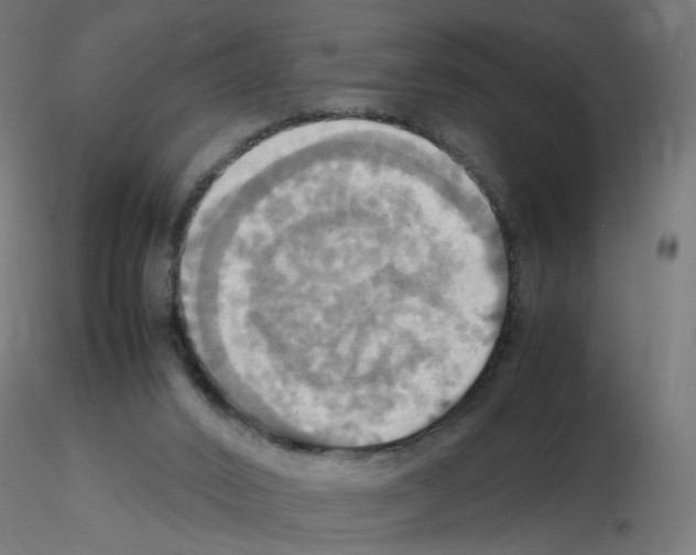 X0000115560016200912181628