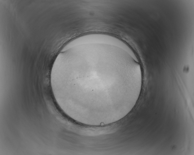 X0000115560017200912181628