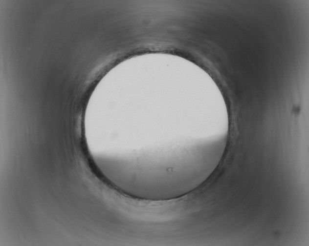 X0000115560019200912181628