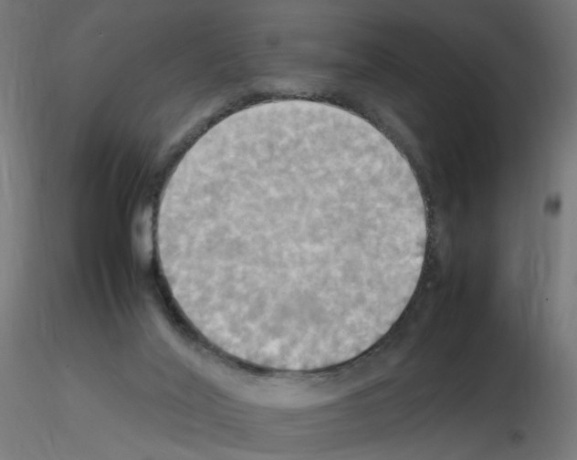 X0000115560020200912181628