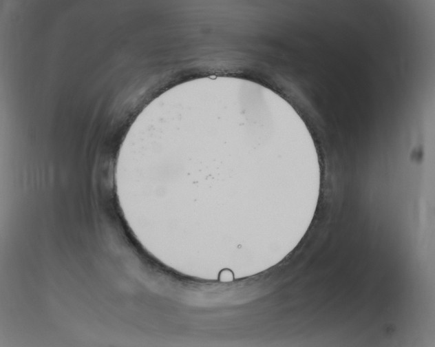 X0000115560021200912181628