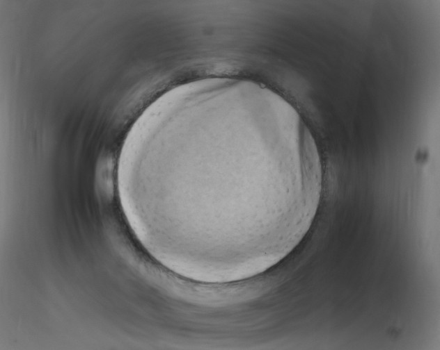 X0000115560022200912181628