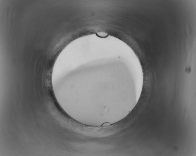 X0000115560023200912181628