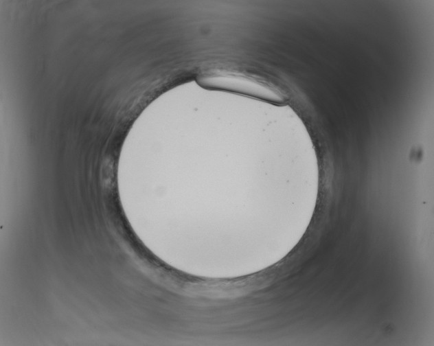 X0000115560025200912181628