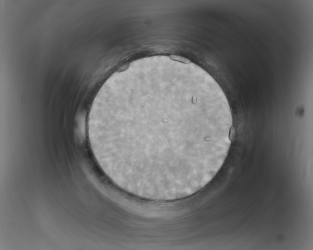 X0000115560028200912181628