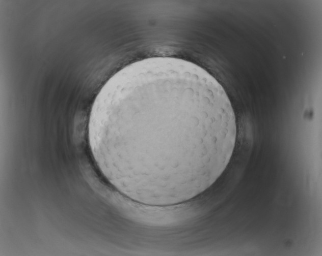 X0000115560030200912181628