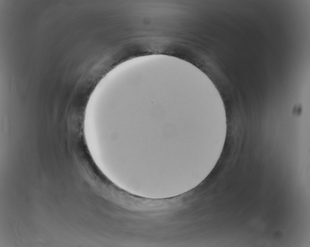 X0000115560031200912181628