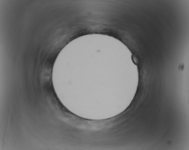 X0000115560033200912181628