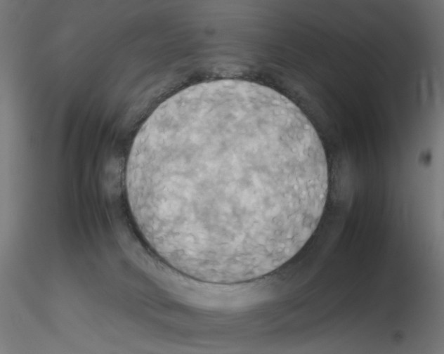 X0000115560034200912181628