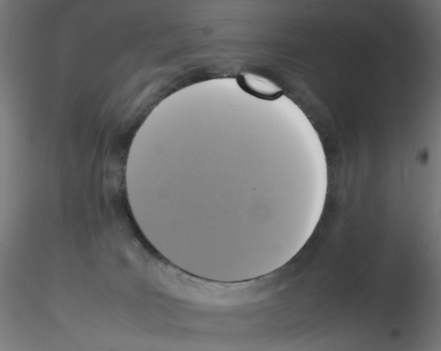 X0000115560035200912181628