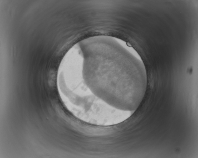 X0000115560036200912181628