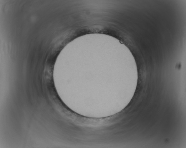 X0000115560037200912181628