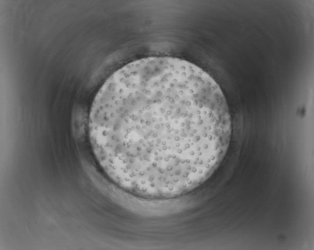 X0000115560038200912181628