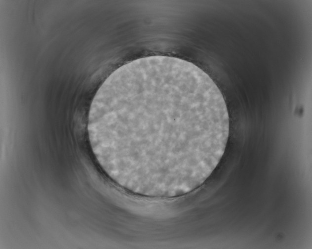 X0000115560040200912181628