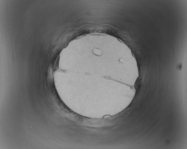 X0000115560041200912181628