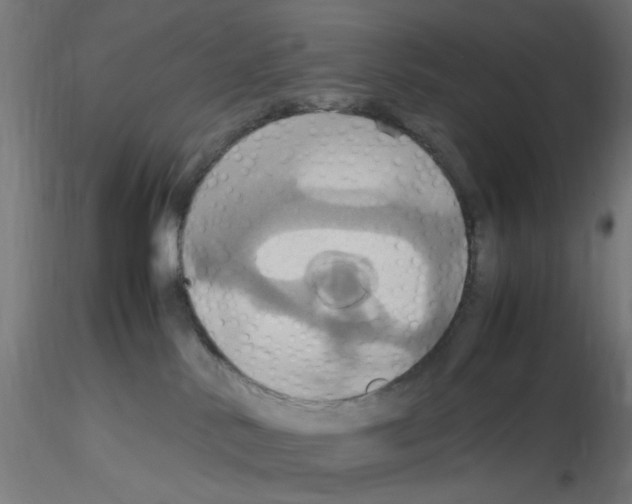 X0000115560042200912181628