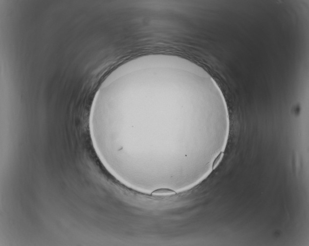 X0000115560043200912181628