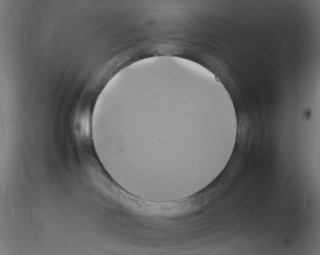 X0000115560046200912181628