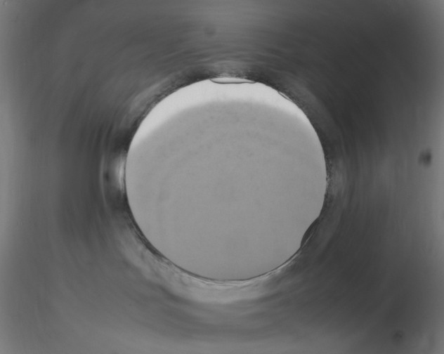 X0000115560047200912181628