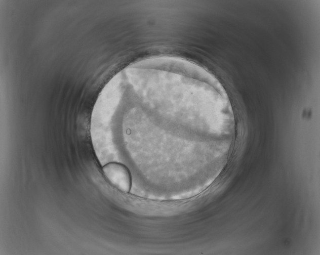 X0000115560048200912181628